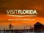 Visit Florida logo