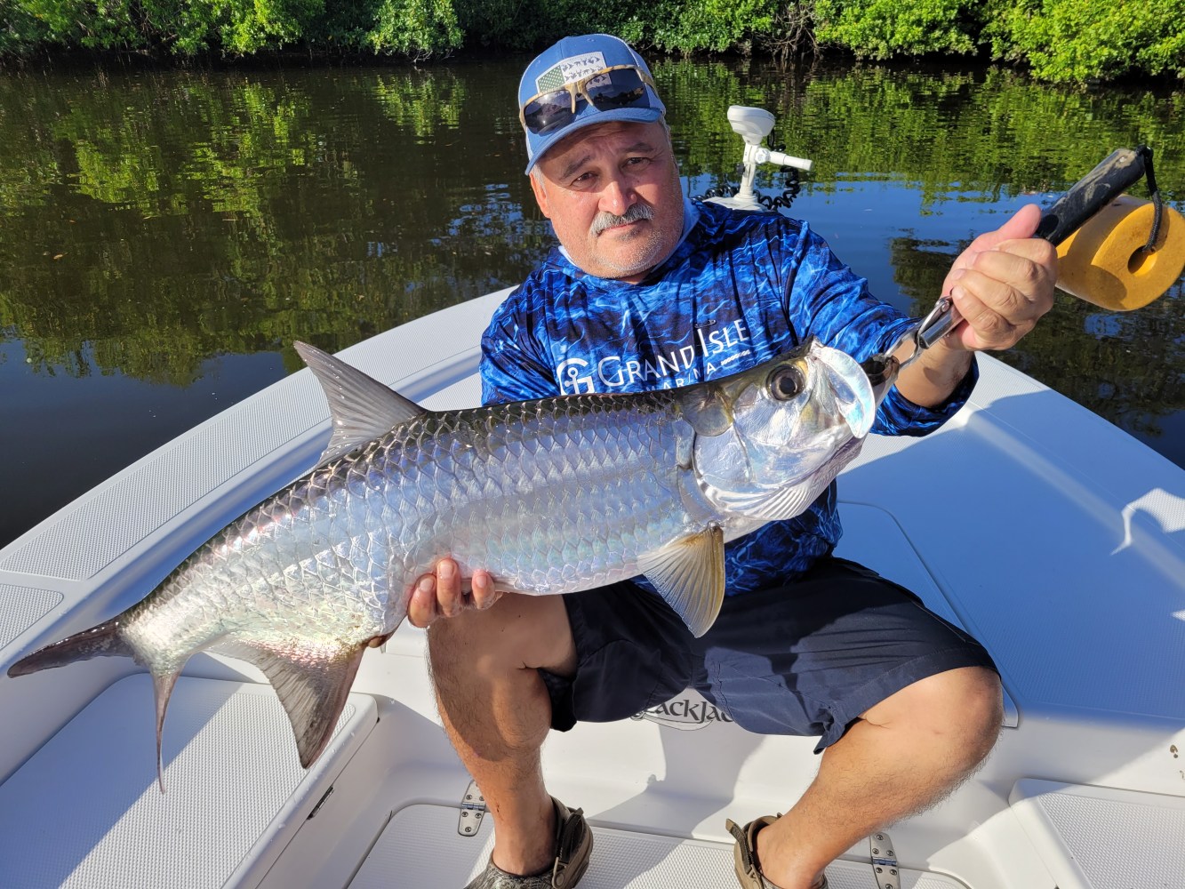 Back water Tarpon