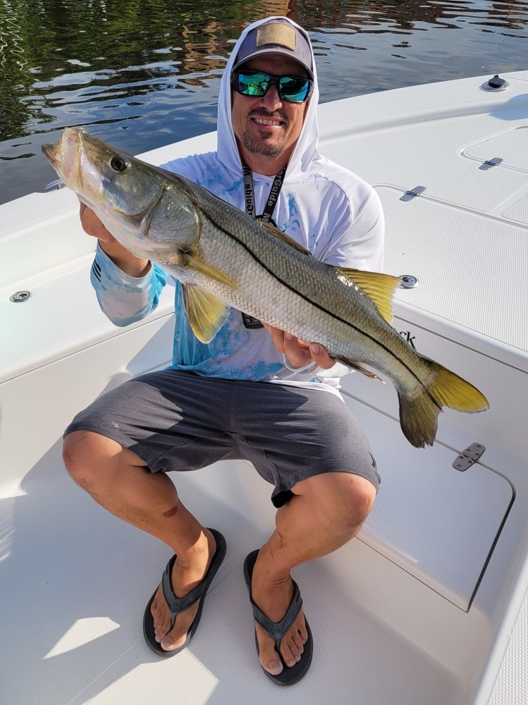 Snook Permit